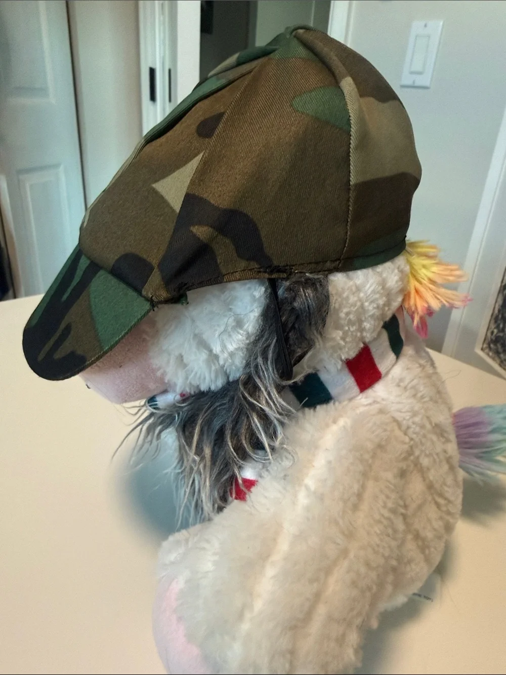 Camouflage Dog Trucker Hat with Faux Fur Beard
